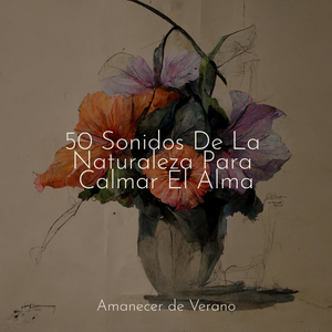 Ecos Místicos de la Caída de las Estrellas