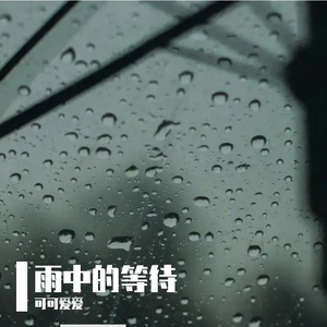 雨中的等待