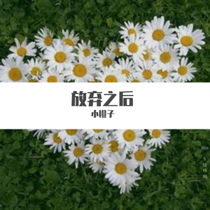 放弃之后(纯音乐)