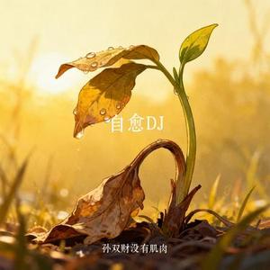 自愈DJ (Cover 穆哲熙)
