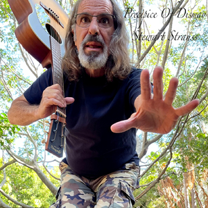 Into the Woods with Stewart Strauss Podcast Theme