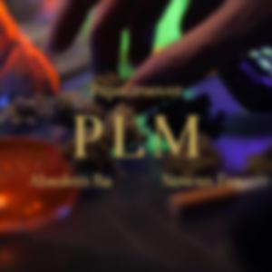 PLM (feat. Nowan Fox, Absolem Ra & papagroover)