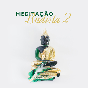 Meditação e Cura Emocional