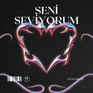 Seni Seviyorum