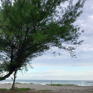Pantai selatan