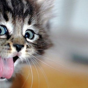 West Side Highway (nightcore)