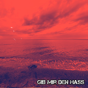 Gib Mir Den Hass