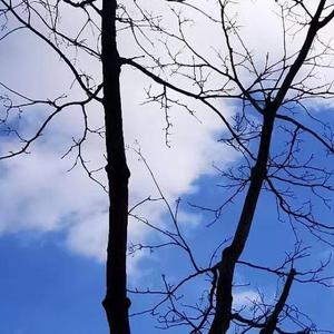 我利用充分时间