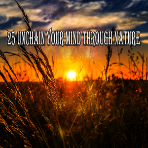 A Walk Through The Garden