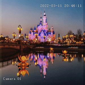 好像掉进爱情海里