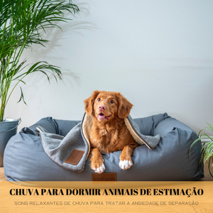 Serenidade