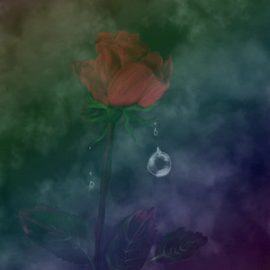 赤いバラとしずく