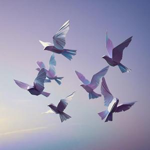 Paper Wings Theme_ Fragile dreams can still fly if you believe