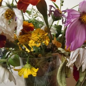 《相思误》词曲唱赵鑫