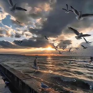 星辰坠落人世间.mp3