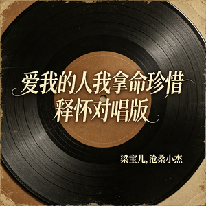 爱我的人我拿命珍惜(释怀对唱版)