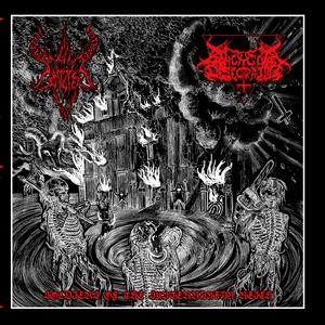 sexual rites crown the night