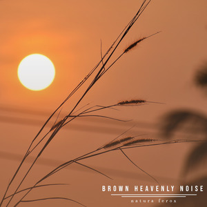 Brown Heavenly Noise