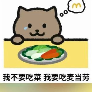 胖猫爱人先爱己