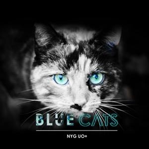 Blue Cats