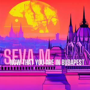 Now that you are in Budapest