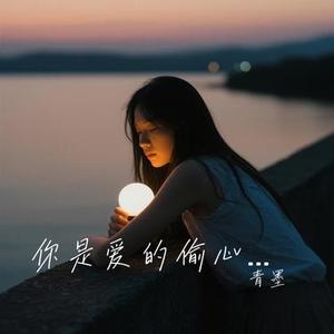 你是爱的偷心贼 (青墨 Remix)