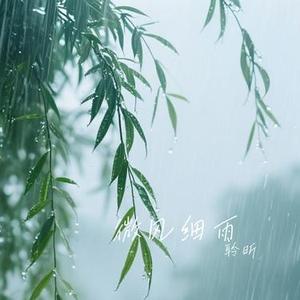 微风细雨（Cover 王菲）