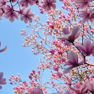 你是自己的屋檐 何必等晴天