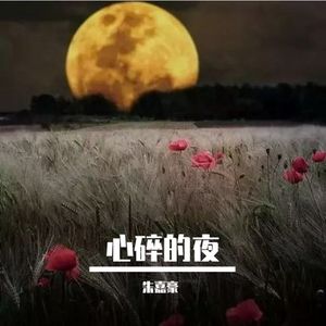心碎的夜