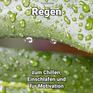 Regen für den Geist