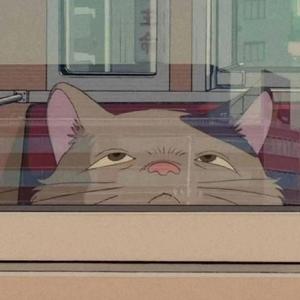 小水果(Cover:筷子兄弟)