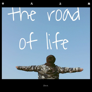 朴树-平凡之路（$ea. remix）