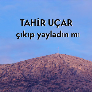 Çıkıp Yayladın mı