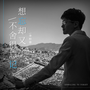 想忘却又不舍得忘记