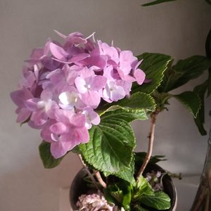 你来时的路……