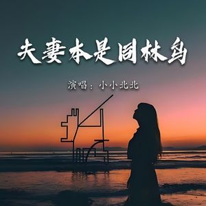 夫妻本是同林鸟