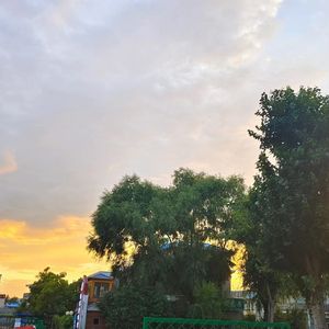 种子（Prod.Xouns）