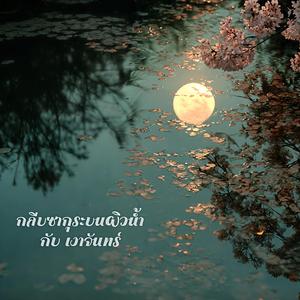 กลีบซากุระบนผิวน้ำ กับ เงาจันทร์