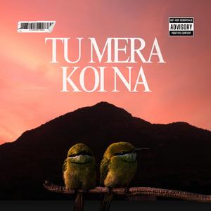 Tu Mera Koi Na