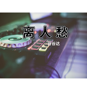 离人愁 (抖音dj版) (翻自 李袁杰)