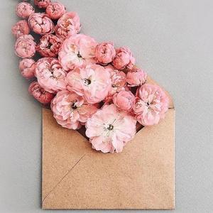 【free】情歌RB type beat 花的信封