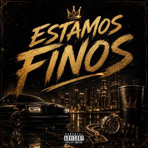 ESTAMOS FINOS