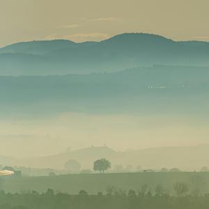 All Of You ( Dirty Diana )