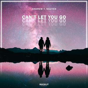 Can't Let You Go