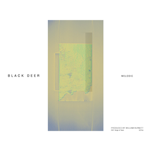 Twinsies