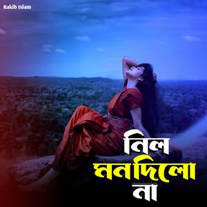 নিল মন দিলো না