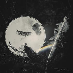 Weeds (Jewel Scheme Mix)