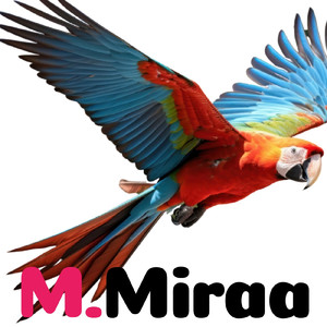 ホーリーマザーハンを慕いて