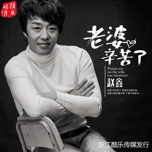 老婆辛苦了(伴奏)