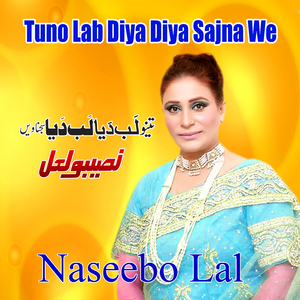 Allah Kara Ank Na Lara Kisa Naal (Best Of Naseebo Lal)